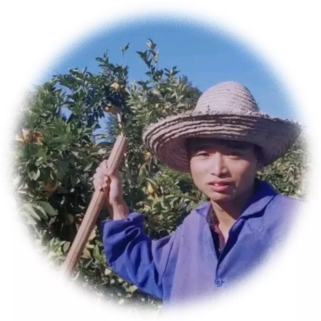 蔡非菜:从农村走出的"电商达人"